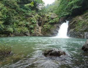 Netravali Waterfalls Natural Waterfalls of Goa