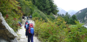 Trekking From Rishikesh Gangotri