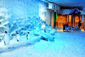 Amusement Park in Mumbai Snow World