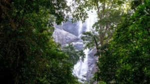 Best Waterfall in Kerala Palaruvi