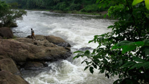 Best Waterfall in Kerala Perunthenaruvi