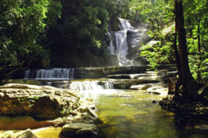 Kerala Waterfalls Vazhvanthol