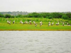 One Day Trip near Delhi Damdama Lake