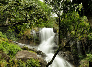 Waterfalls in Kerala Chethalayam
