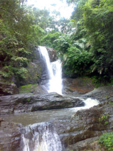 Waterfalls in Kerala Mankayam