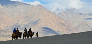 Ladakh Trekking Tours Nubra Valley