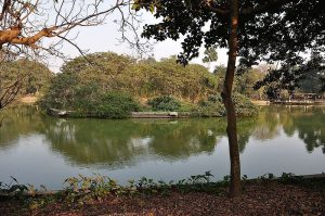 Bhalswa Lake Picnic Spot within Delhi