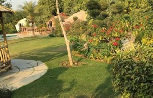 Botanix Nature Resort Picnic Spot near Delhi