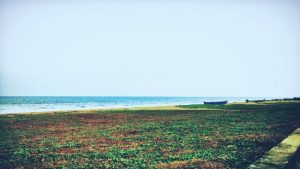 Breezy Best Beach in Chennai