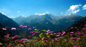 Hill Stations in Himachal Manali