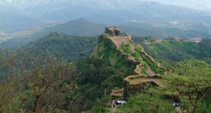 Bangalore One Day Trip BR Hills