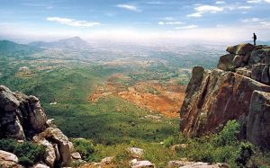 One Day Trip Near Bangalore BR Hills