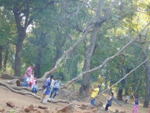 Ryewood Park Lonavala Spot for Picnic One Day