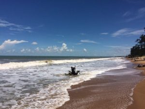 Shankarpur Beach Place to Visit in Digha